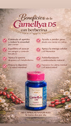 Camellya D5 –  oxidador de grasa natural baja medidas y grasa localizada , cuida parte ósea y muscular y concentración (no altera sistema nervioso )