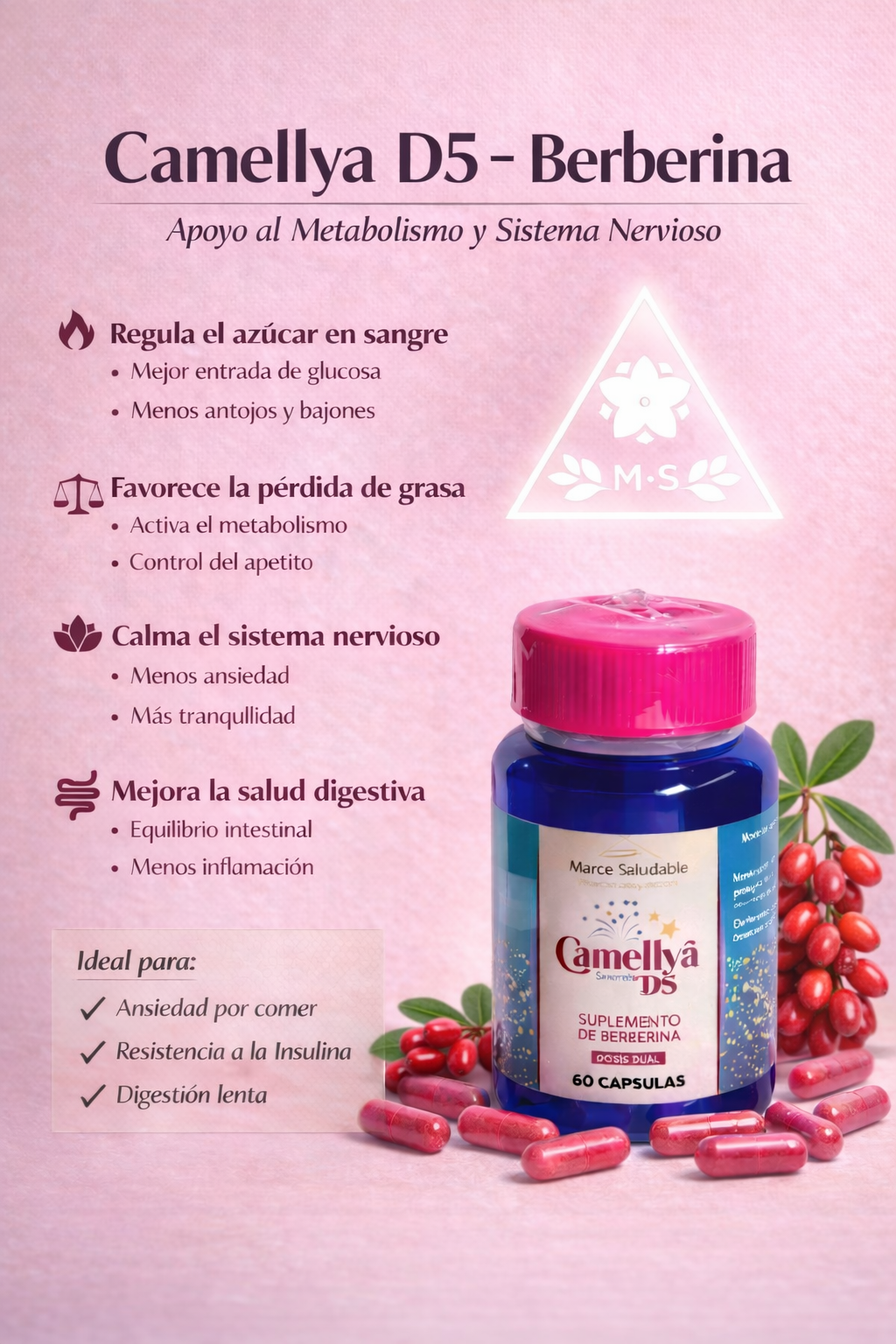 Camellya D5 –  oxidador de grasa natural baja medidas y grasa localizada , cuida parte ósea y muscular y concentración (no altera sistema nervioso )